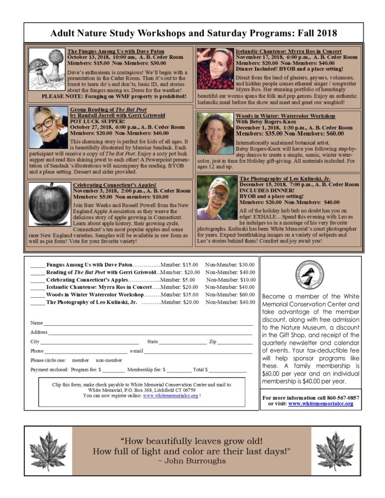Workshops Fall 2018