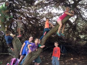 Museum Children Free Week