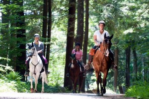 horseback riding