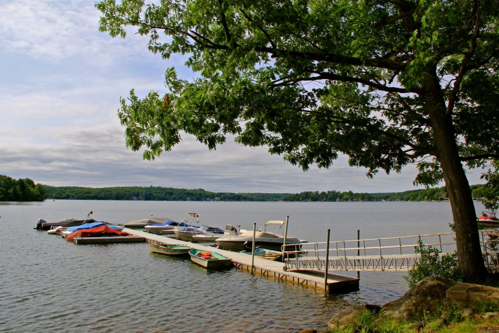 Marina and Boat Launches – White Memorial Conservation Center