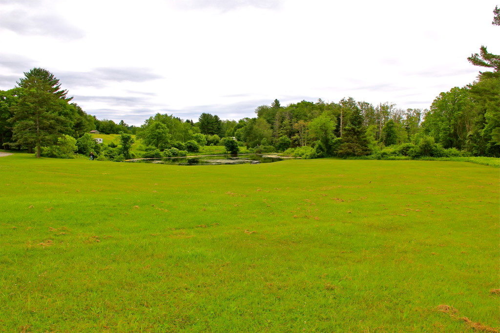 ongley pond field