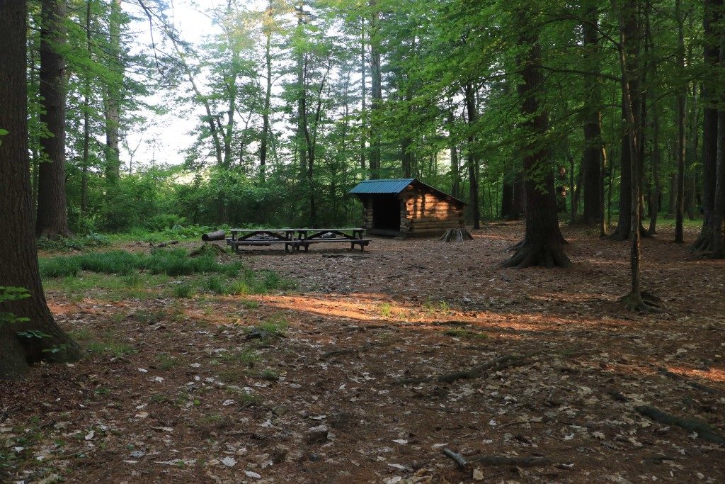 pine grove camping areas