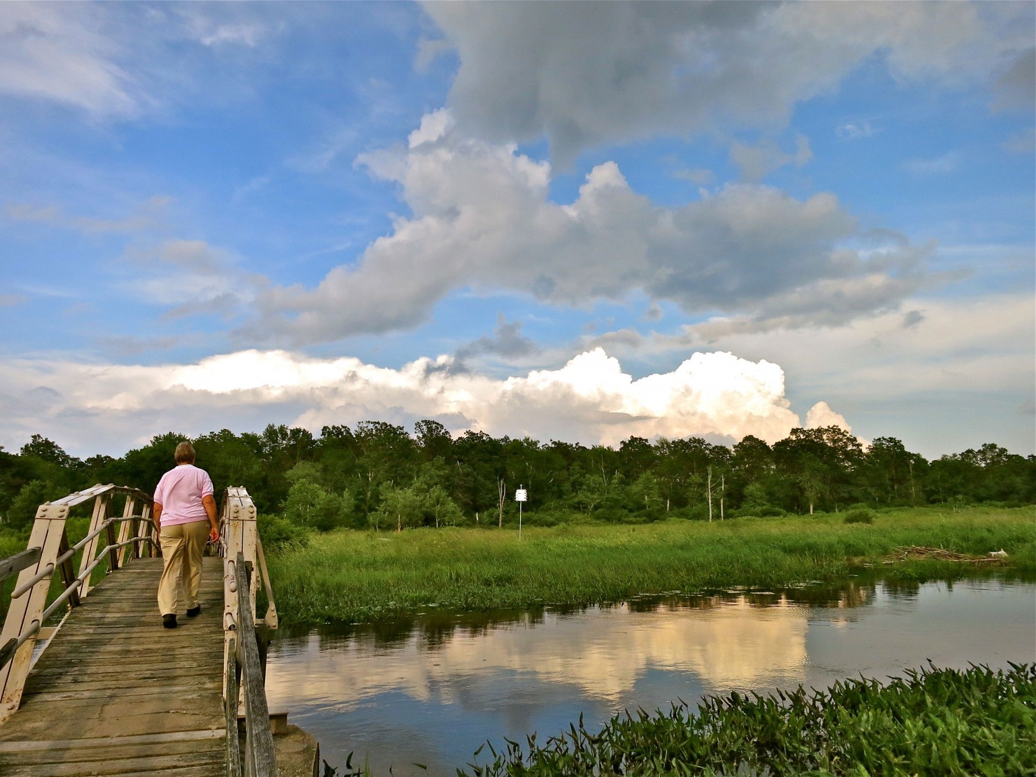 Trail Maps – White Memorial Conservation Center