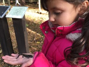 After-School Adventures Grades 1-3 Fall 2021 @ White Memorial - Activity Shed