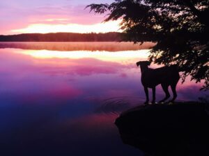 CANCELLED - Smart Phone Photography (Part 2) with Gerri Griswold
