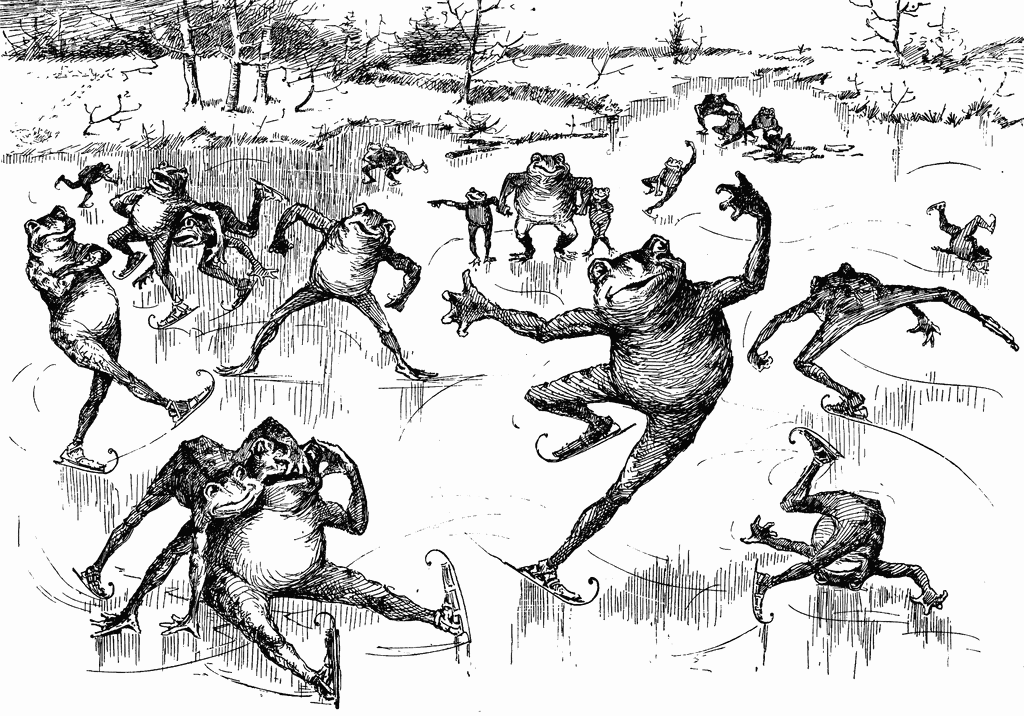 frogs