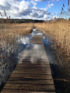 LITTLE POND BOARDWALK CLOSED