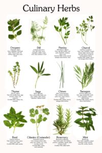 The Pandemic Pantry ~ Cooking with Herbs