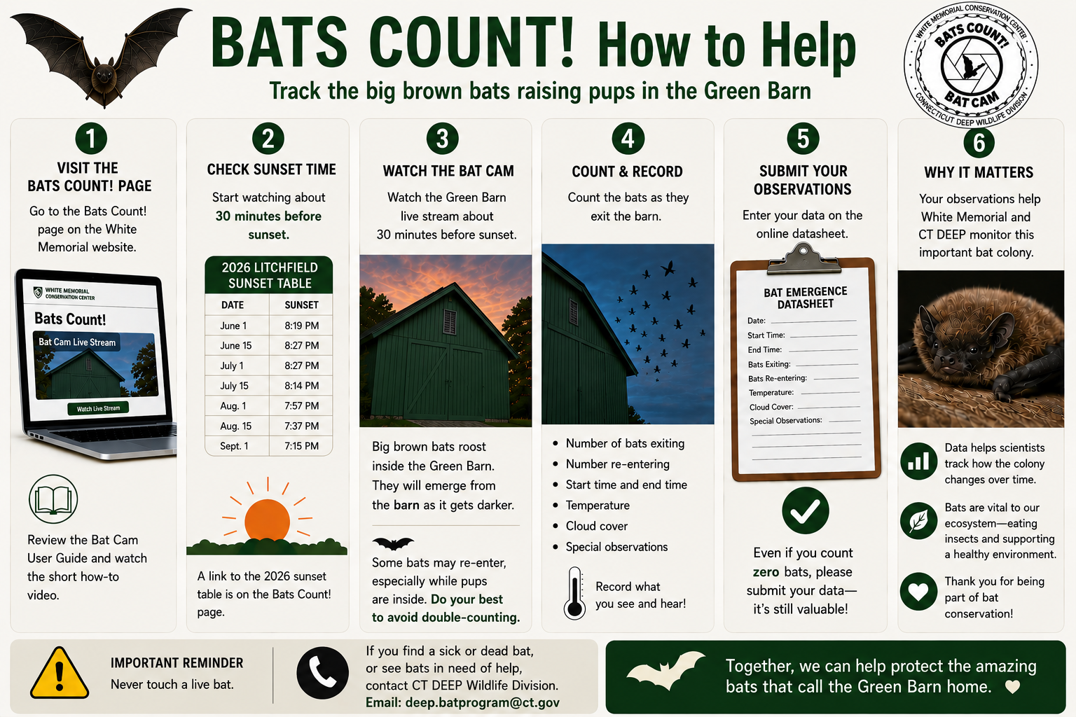 Bats Count! procedure image